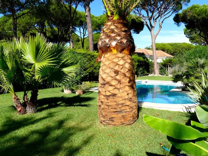 Más vistas del jardín a la piscina - Villa Alondra